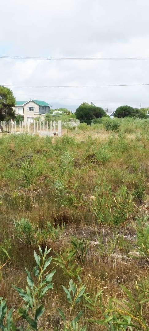 0 Bedroom Property for Sale in Fisherhaven Western Cape